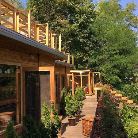 Skay Loft Bed and Breakfast Braşov Eksteriør billede