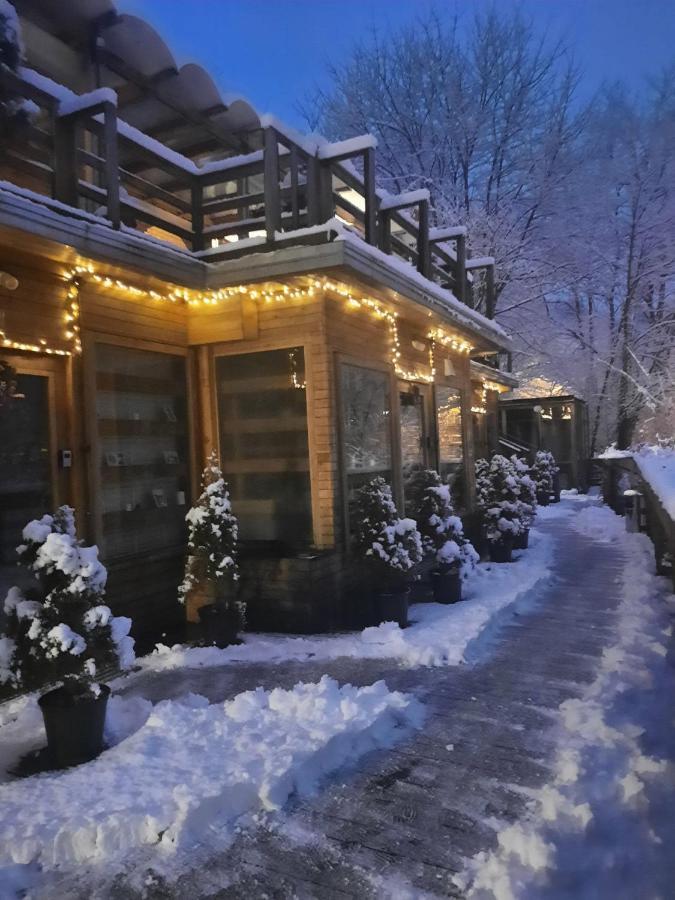 Skay Loft Bed and Breakfast Braşov Eksteriør billede