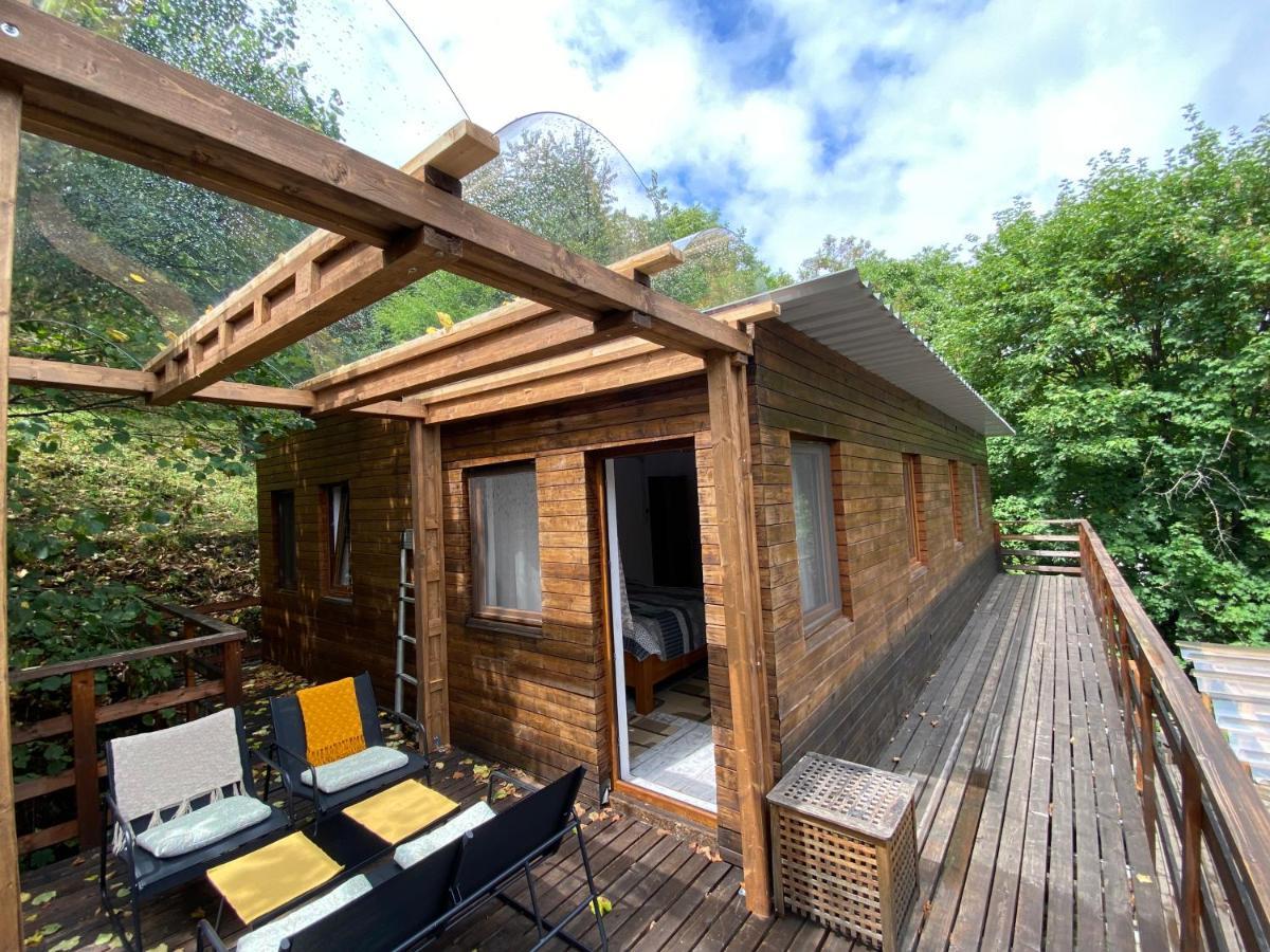Skay Loft Bed and Breakfast Braşov Eksteriør billede