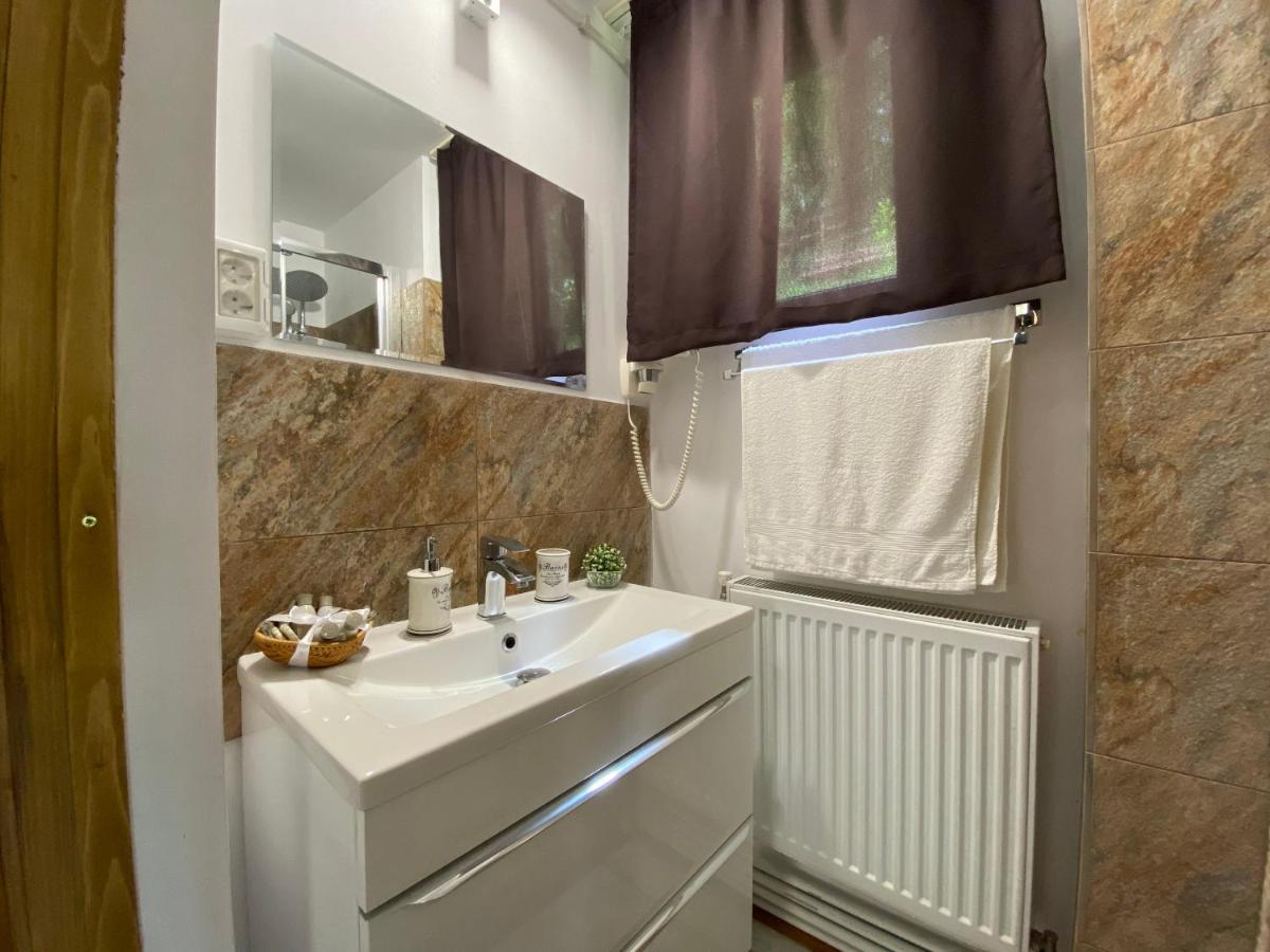 Skay Loft Bed and Breakfast Braşov Eksteriør billede
