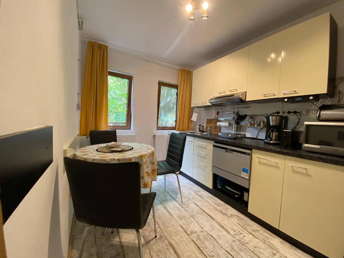 Skay Loft Bed and Breakfast Braşov Eksteriør billede