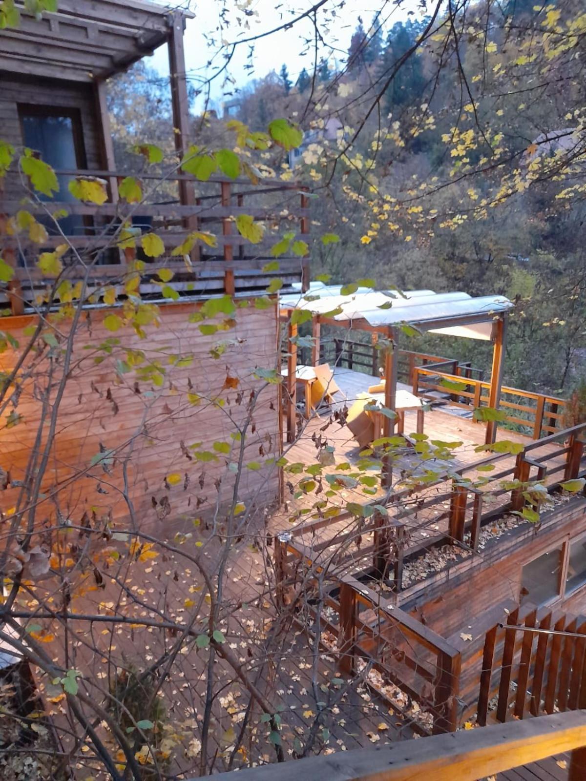 Skay Loft Bed and Breakfast Braşov Eksteriør billede