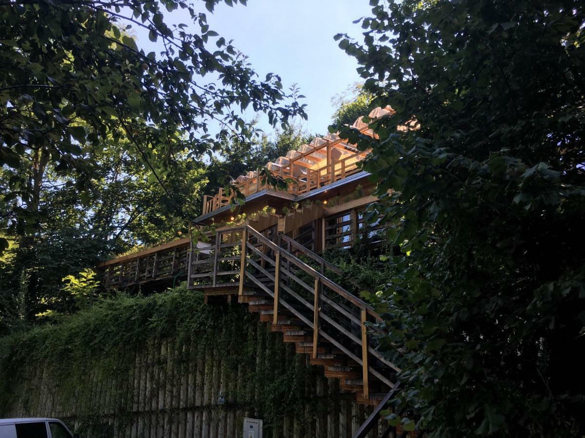 Skay Loft Bed and Breakfast Braşov Eksteriør billede