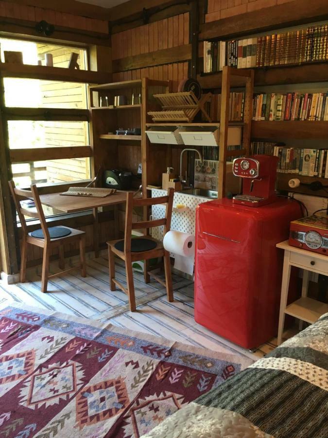 Skay Loft Bed and Breakfast Braşov Eksteriør billede