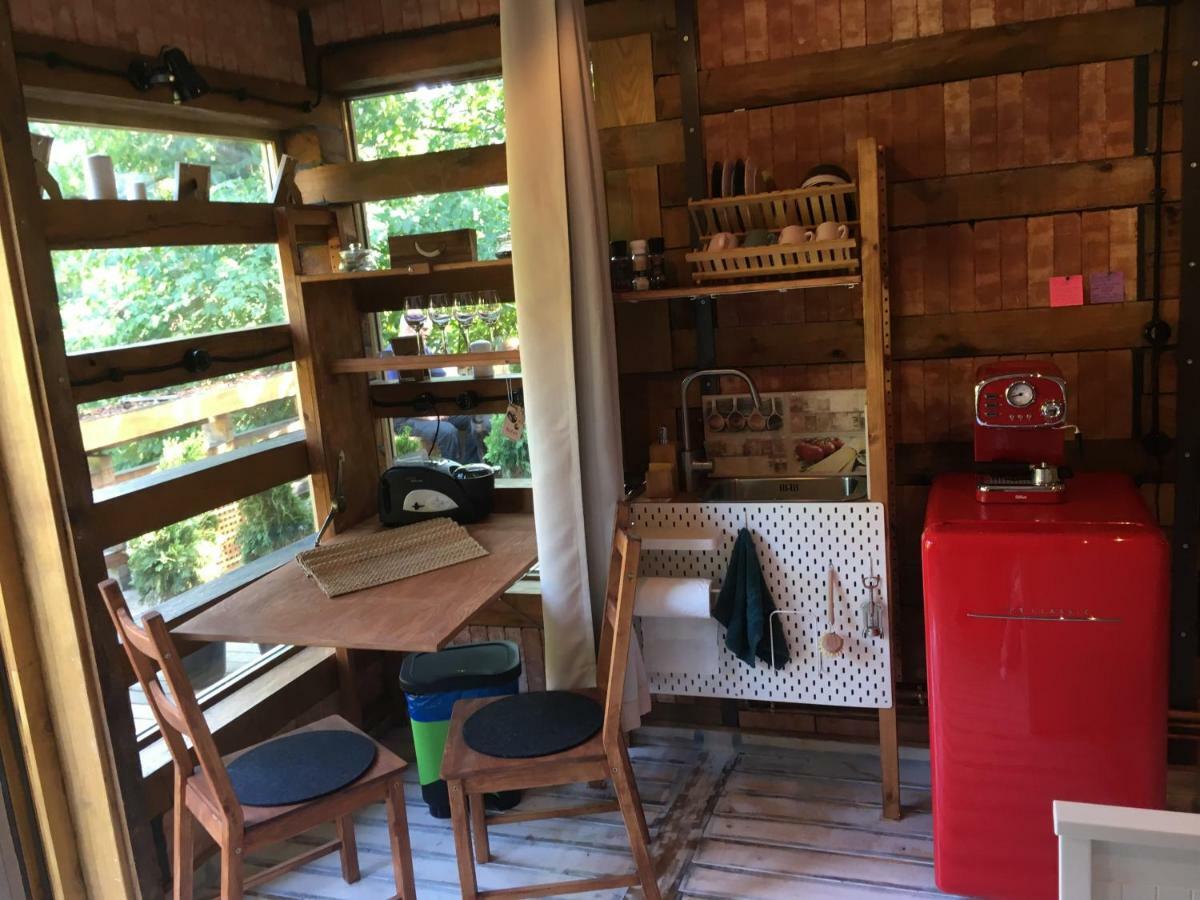 Skay Loft Bed and Breakfast Braşov Eksteriør billede